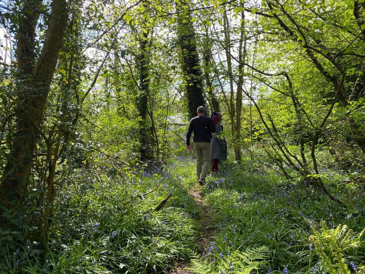 Blackhill Woods Retreat Абилийш Екстериор снимка