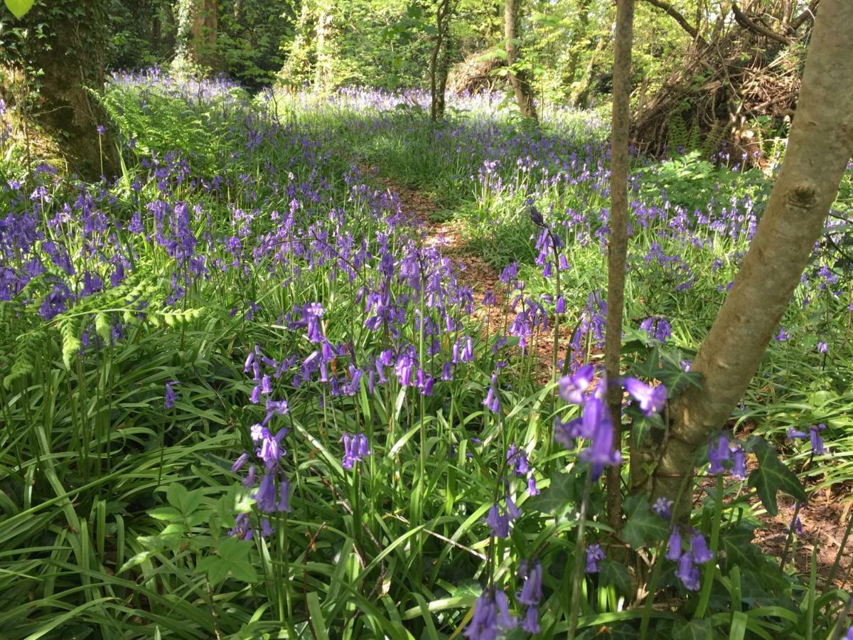 Blackhill Woods Retreat Абилийш Екстериор снимка